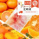 【発送月固定定期便】紀州和歌山産旬のフルーツセット(みかん・清見・桃・柿)全4回