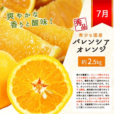 【発送月固定定期便】紀州和歌山産旬の柑橘セット(みかん・なつみ・バレンシア)全3回