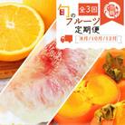 【発送月固定定期便】紀州和歌山産旬のフルーツセット(桃・柿・みかん)全3回