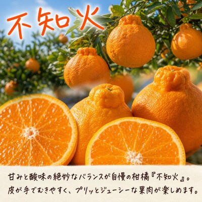 【発送月固定定期便】紀州和歌山産旬のフルーツセット(田村みかん・いちご・紀州デコ)全3回