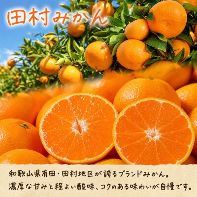 【発送月固定定期便】紀州和歌山産旬のフルーツセット(田村みかん・いちご・紀州デコ)全3回