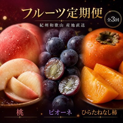 【発送月固定定期便】紀州和歌山産旬のフルーツセット(桃・ピオーネ・ひらたねなし柿)全3回