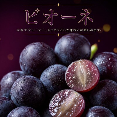 【発送月固定定期便】紀州和歌山産旬のフルーツセット(桃・ピオーネ・ひらたねなし柿)全3回
