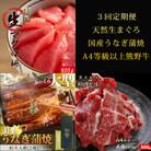 【毎月定期便】紀州和歌山うまいもんセットB(生まぐろ・うなぎ蒲焼・熊野牛)全3回