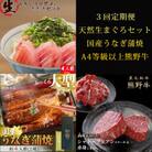 【毎月定期便】紀州和歌山うまいもんセットC(生まぐろ・うなぎ蒲焼・熊野牛)全3回