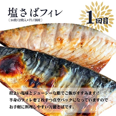 2023年3月発送開始『定期便』魚鶴商店が選ぶ人気のお魚A サバフィレ・うなぎ蒲焼・紅鮭切身全3回