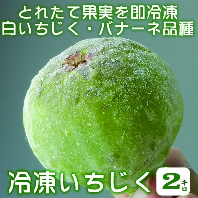 【冷凍】いちじく2kg　品種:バナーネ (白いちじく1kg入×2袋)