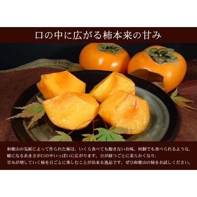 種なし柿 【秀品:サイズ・品種おまかせ】 約7.5kg 和歌山県産