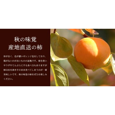 種なし柿 【秀品:サイズ・品種おまかせ】 約7.5kg 和歌山県産