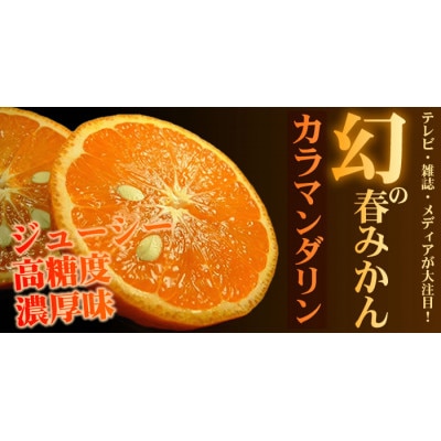 カラマンダリン[約5kg]和歌山県有田産春みかん 春柑橘(果実サイズおまかせ)