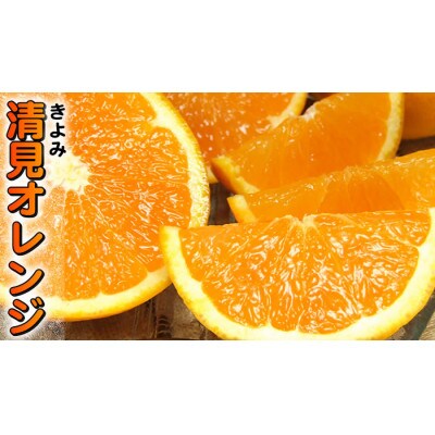 清見オレンジ[約5kg]和歌山県有田産春みかん(果実サイズおまかせ)