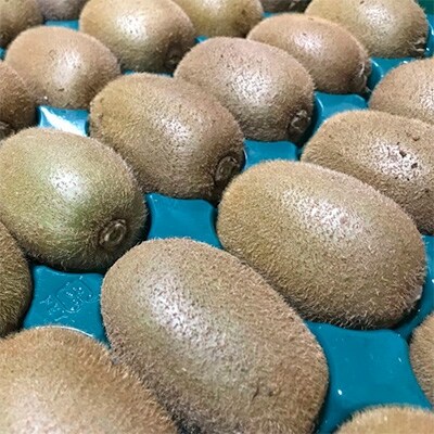 【大人気】濃厚キウイフルーツ　秀品　24～36玉(約3.6kg)