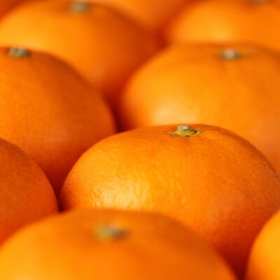 【夏の美味】【みかん名産地有田】濃厚温室有田みかん 秀品 3パック(S 4玉～3S 6玉×3パック)