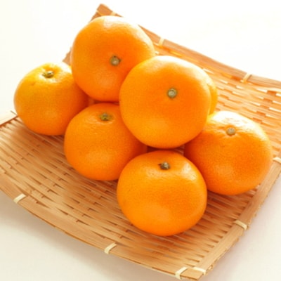 【夏の美味】【みかん名産地有田】濃厚温室有田みかん 秀品 3パック(S 4玉～3S 6玉×3パック)