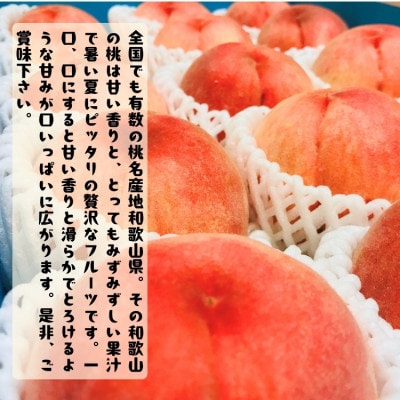 ≪先行予約 2027年6月～発送≫ 厳選 和歌山の桃 13～15玉入り(約4kg) 化粧箱入り