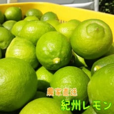 【国産】農家直送!　紀州レモン　約2kg
