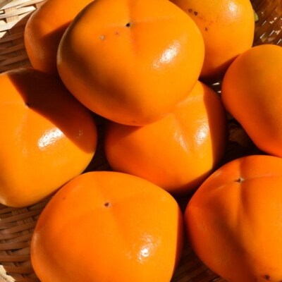 【秋の味覚】和歌山産たねなし柿約2kg  化粧箱入り(2L～4Lサイズ)【広川町】