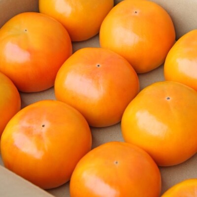 和歌山産富有柿約7.5kg(L～4Lサイズおまかせ)【広川町】