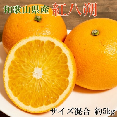 【2026年1月下旬より順次発送】【希少品種】和歌山県産紅八朔約5kg(サイズ混合)(広川町)