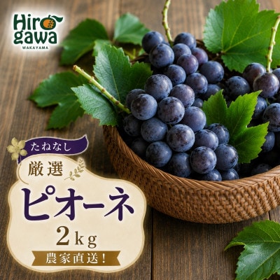 【新鮮・産直】和歌山かつらぎ町産のたねなしピオーネ約2kg(広川町)【2026年度発送分】