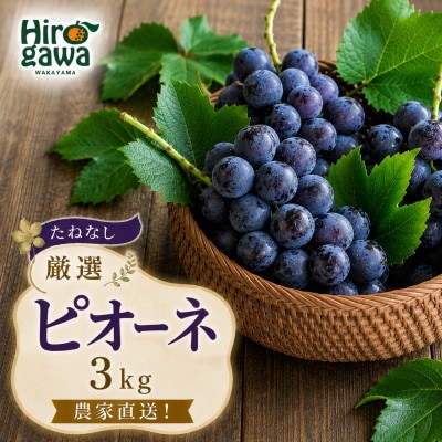 【新鮮・産直】和歌山県産たねなしピオーネ約3kg(4房～7房)(広川町)【2026年度発送分】
