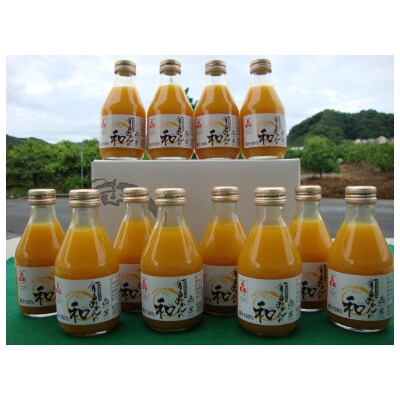 有田みかんの和180ml×12本
