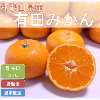 【2024年11月下旬より順次発送】ひだまりみかん家のこだわり有田みかん5kg(S～Lサイズ)