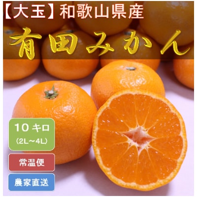 【2024年11月下旬より順次発送】【大玉】 ひだまりみかん家の有田みかん 10kg