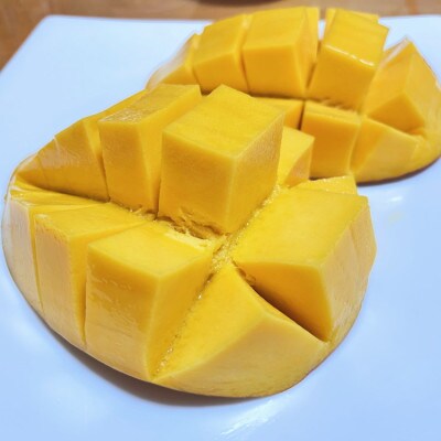 【希少マンゴー】濃厚玉文マンゴー　約800g(1～2玉入り)