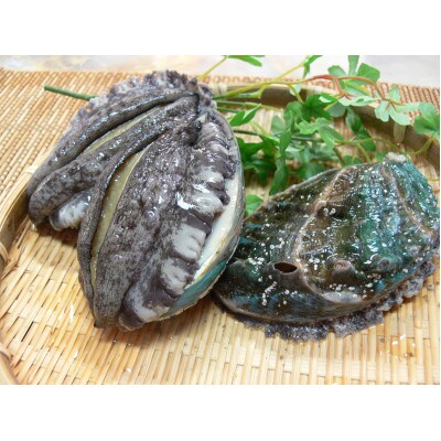 やわコリ食感紀州活アワビ 【12個入】