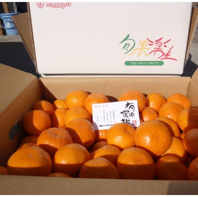 有田みかん　しにせの味　3kg