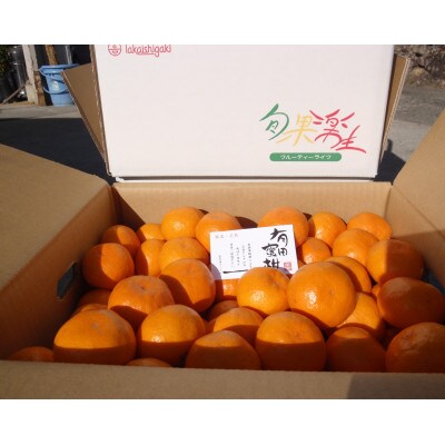 有田みかん　しにせの味　4.5kg