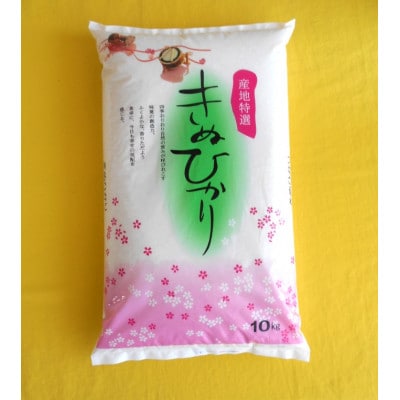 【令和6年産】和歌山県産キヌヒカリ10kg