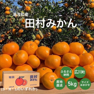湯浅産　田村みかん　5kg　(サイズおまかせ)