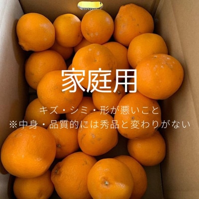 【2026年1月下旬より順次発送】【先行受付】はるみ　3kg家庭用　(S～4Lサイズ混合)
