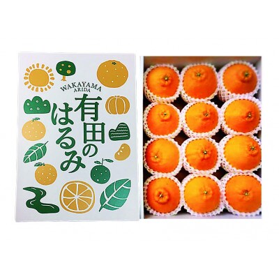 【2026年1月より順次発送】【まごころ手選別】和歌山県産有田のはるみ化粧箱入りLサイズ12個入り　