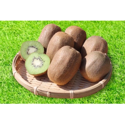 【先行受付】【まごころ手選別】和歌山産　キウイフルーツ　約2.4kg　秀品