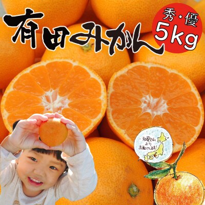 「 はじめまして有田みかん 和歌山県産 」お試し 約5kg 【数量限定】/ORYY推奨
