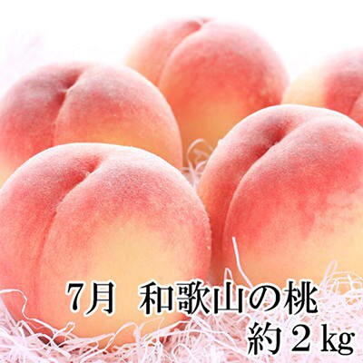 【発送月固定定期便】和歌山の夏の人気フルーツ定期便 全3回