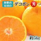 【秀品】和歌山有田のデコポン!約5kg　2026年1月上旬～順次発送