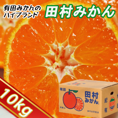 【2025年11月より順次発送】有田の高級ブランド「田村みかん」秀品約10kg S～Lサイズ