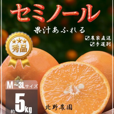 【先行受付】秀品 セミノール 和歌山 有田 M～3Lサイズ 大きさお任せ 約5kg