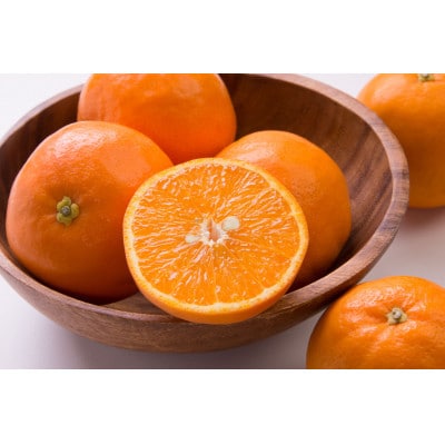 【先行受付】訳あり 家庭用 セミノール 和歌山 有田 2S～4Lサイズ混合 約5kg