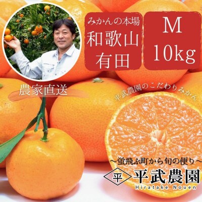有田みかん 10kg Mサイズ　平武農園の有田ブランド田口みかん　蛍飛ぶ町から旬の便り　