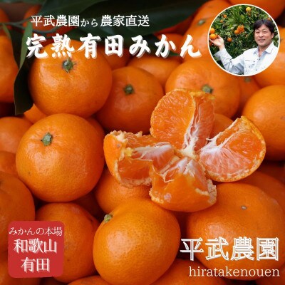 有田みかん 10kg 2Sサイズ　平武農園の有田ブランド田口みかん　蛍飛ぶ町から旬の便り　