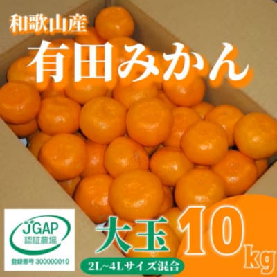 先行受付2026年11月より順次発送【まごころ手選別】有田みかん10kg大玉(2L～4L混合)