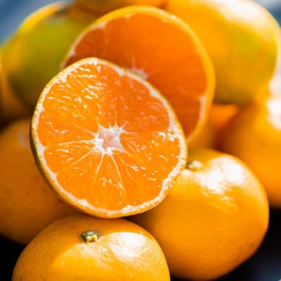 先行受付2026年11月より順次発送【まごころ手選別】有田みかん5kg(2S・Sサイズ混合)