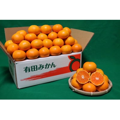 先行受付2026年11月より順次発送【まごころ手選別】有田みかん5kg小玉(3S～Sサイズ混合)