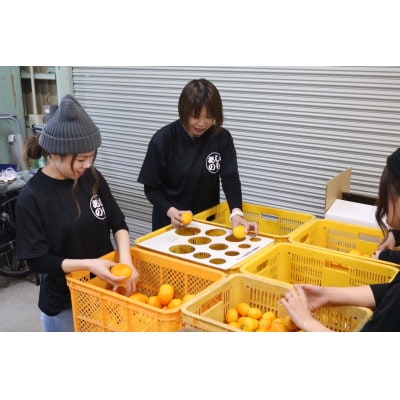 先行受付2026年11月より順次発送【まごころ手選別】有田みかん2kg(2S～Lサイズ混合)