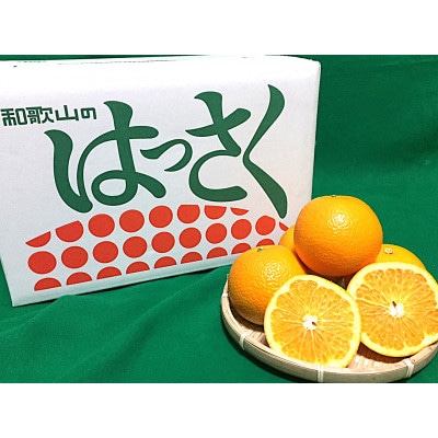 【まごころ手選別】和歌山県産　はっさく 約10kg　L～2Lサイズ